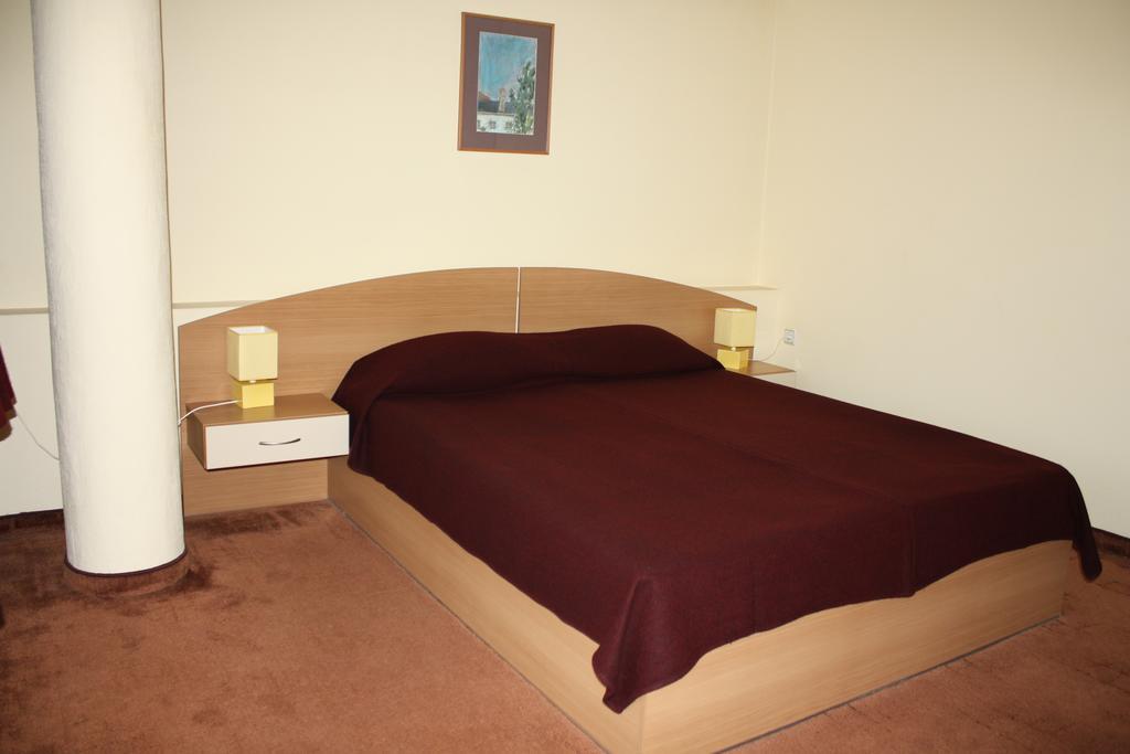 Hotel Of Bulgarian Academy Of Sciences Sofia Rum bild